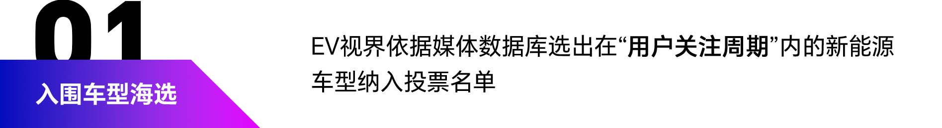 入围车型海选